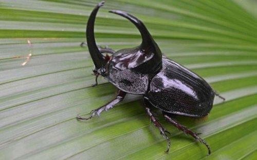 Farklarıyla adlarından söz ettiriyorlar