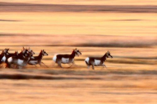 Farklarıyla adlarından söz ettiriyorlar