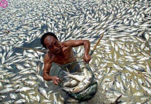 Dünya'nın en pis yerleri 