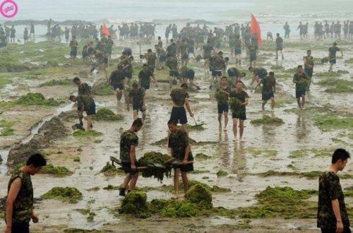 Dünya'nın en pis yerleri 