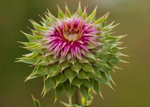 Süper manzara fotoğrafları