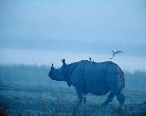 Süper manzara fotoğrafları
