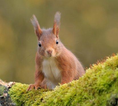 Süper manzara fotoğrafları