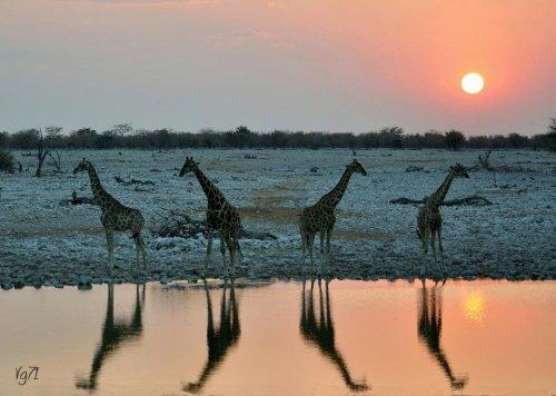 Süper manzara fotoğrafları