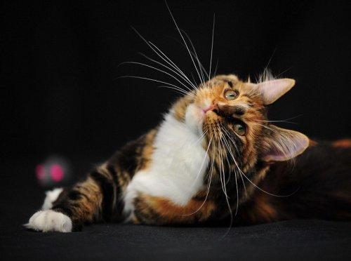 Süper manzara fotoğrafları