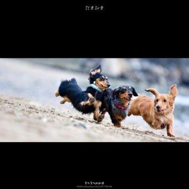 Süper manzara fotoğrafları