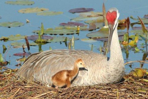 Süper manzara fotoğrafları