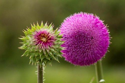 Süper manzara fotoğrafları