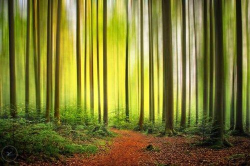 Süper manzara fotoğrafları