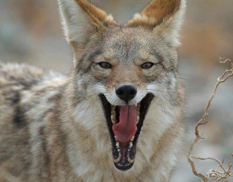 Süper manzara fotoğrafları