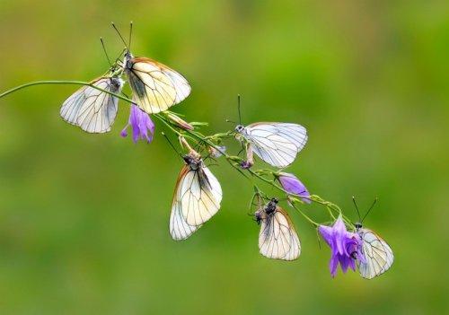 Süper manzara fotoğrafları