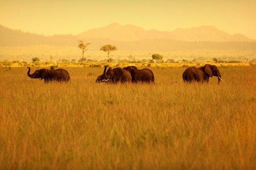 Süper manzara fotoğrafları