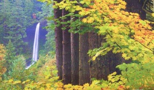 Süper manzara fotoğrafları