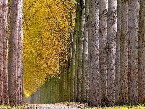 Süper manzara fotoğrafları