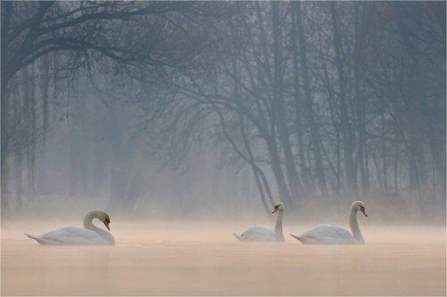 Süper manzara fotoğrafları
