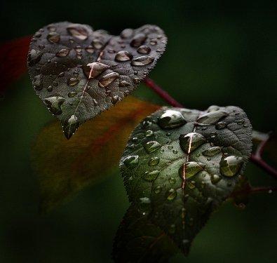 Süper manzara fotoğrafları