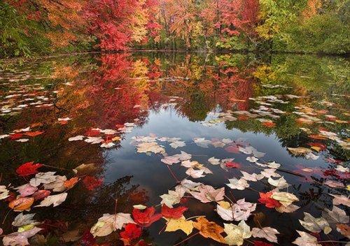 Süper manzara fotoğrafları
