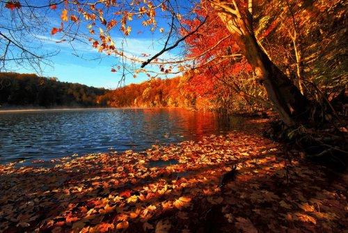 Süper manzara fotoğrafları