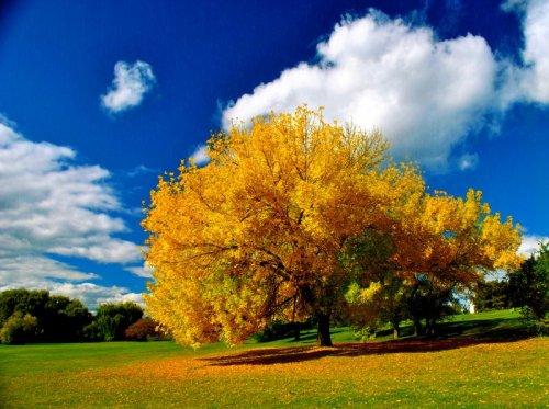 Süper manzara fotoğrafları