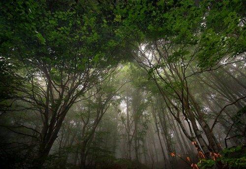 Süper manzara fotoğrafları