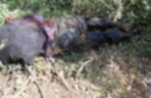 Öldürülen PKK'lıların fotoğrafları 