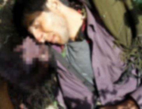 Öldürülen PKK'lıların fotoğrafları 