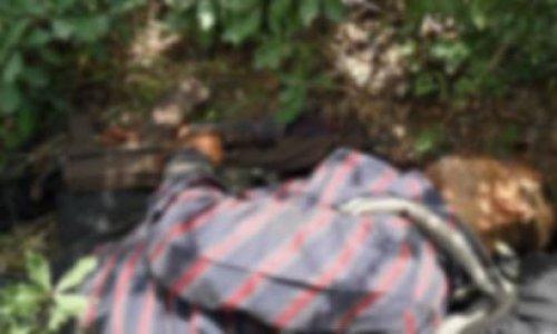 Öldürülen PKK'lıların fotoğrafları 