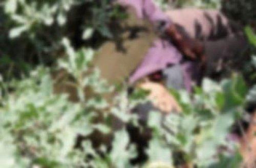 Öldürülen PKK'lıların fotoğrafları 