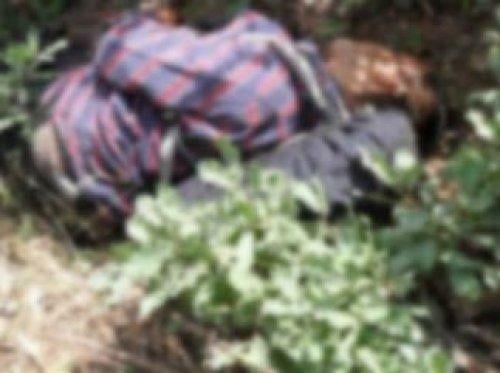 Öldürülen PKK'lıların fotoğrafları 