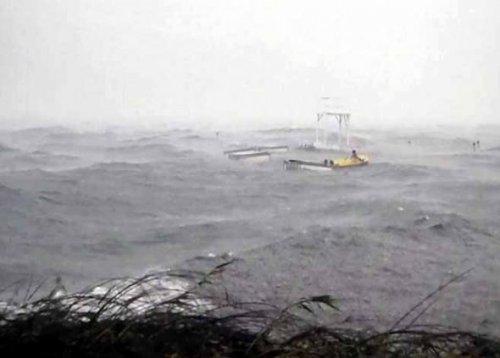 Sapanca Gölü'nde can pazarı