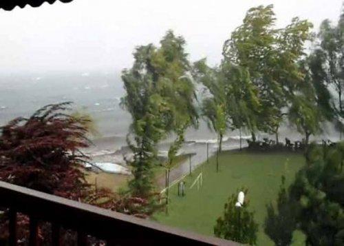 Sapanca Gölü'nde can pazarı