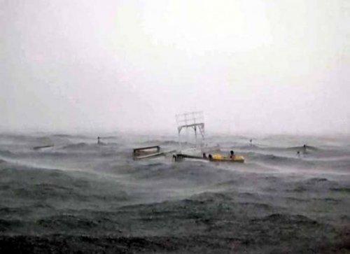 Sapanca Gölü'nde can pazarı