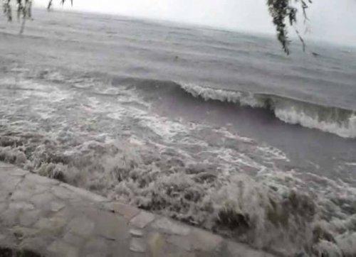 Sapanca Gölü'nde can pazarı