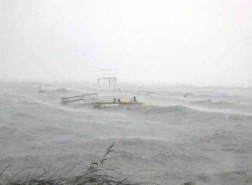 Sapanca Gölü'nde can pazarı