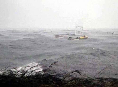 Sapanca Gölü'nde can pazarı