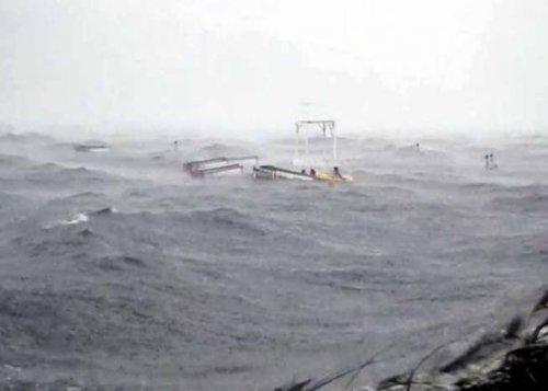 Sapanca Gölü'nde can pazarı