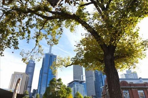 Dünyanın en pahalı 10 kenti