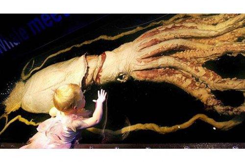 Denizde bulunan en korkutucu 10 canlı