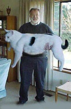 Dünyanın en büyük canlı ve nesneleri 