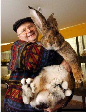 Dünyanın en büyük canlı ve nesneleri 