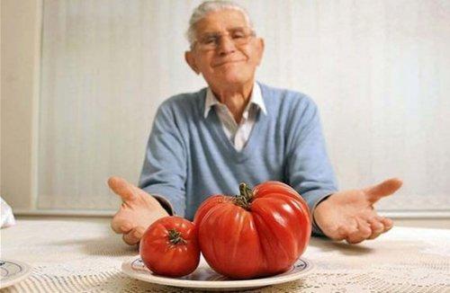 Dünyanın en büyük canlı ve nesneleri 