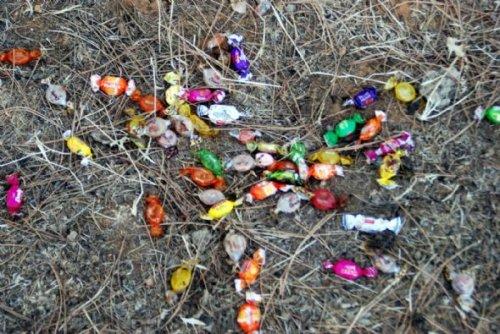 Bingöl'de şeker toplamaya giden çocuklara işkence