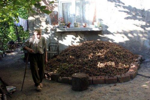 Veysel dede engelli oğluna ve hasta eşine bakıyor