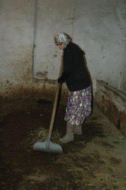 Sınır tanımayan aşk hikayesi