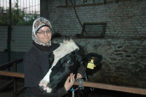 Sınır tanımayan aşk hikayesi