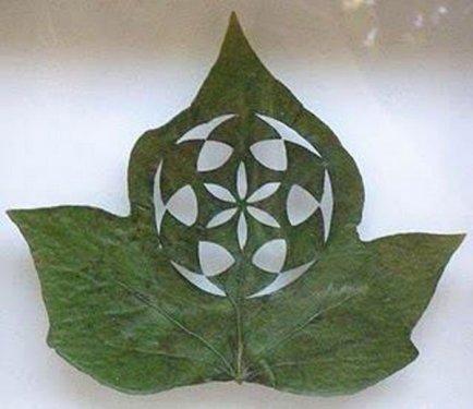 Yaprakları dantel gibi işlediler