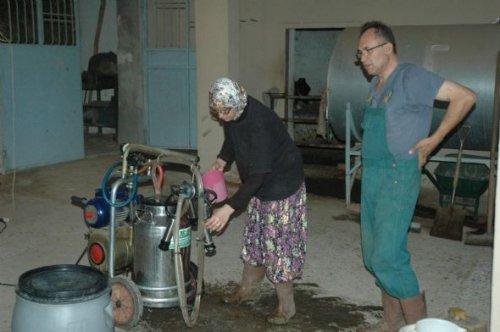 Sınır tanımayan aşk hikayesi