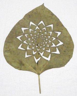 Yaprakları dantel gibi işlediler