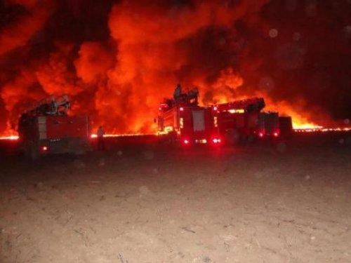 Sabotaj yapmak isteyen PKK'lı kadın kendini yaktı