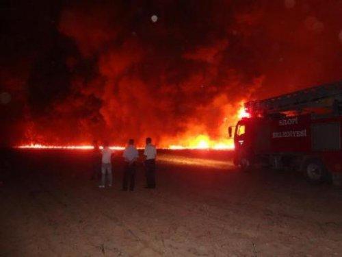 Sabotaj yapmak isteyen PKK'lı kadın kendini yaktı